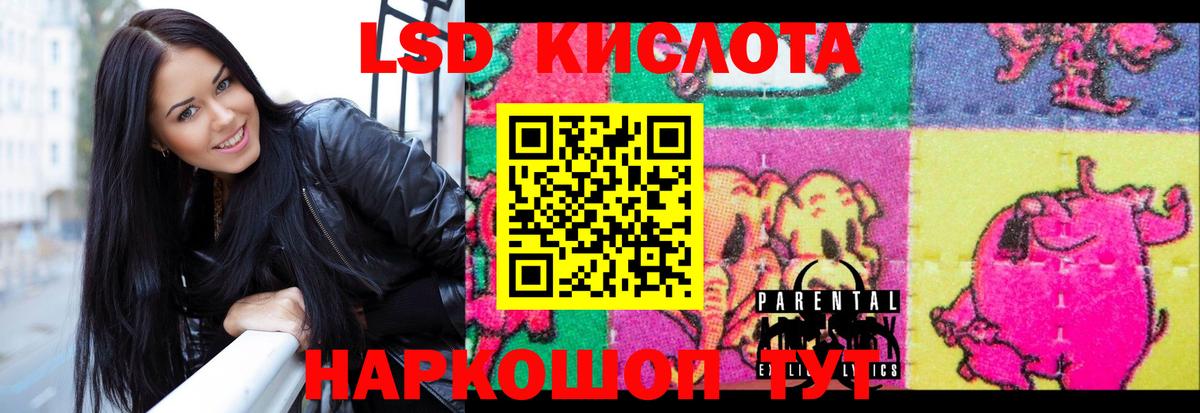 Фрязино  Лсд 25 экстази ecstasy  Вход с VPN 