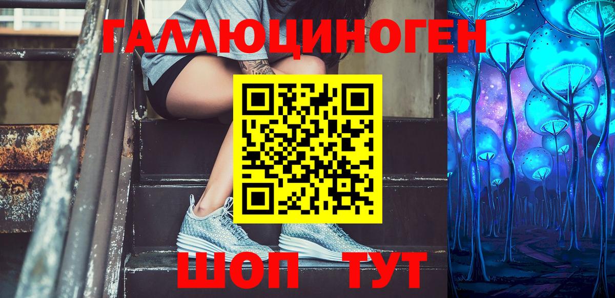 где можно купить   Вход с VPN  Псилоцибиновые грибы Cubensis  Фрязино  Псилоцибиновые грибы Psilocybine cubensis 